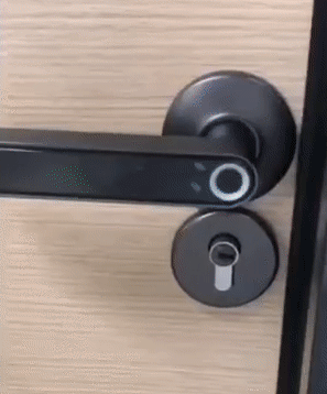 fingerprint open door lock